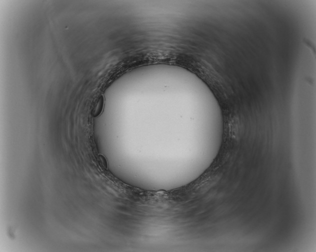 X0000103170961200809051718