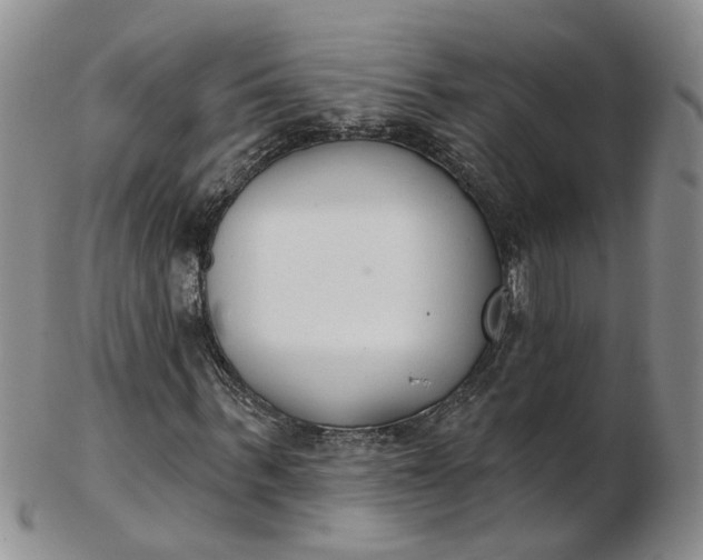 X0000103170963200809051718