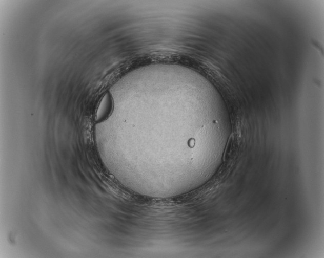 X0000103170964200809051718