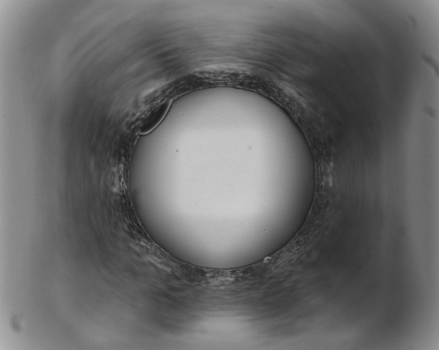 X0000103170965200809051718