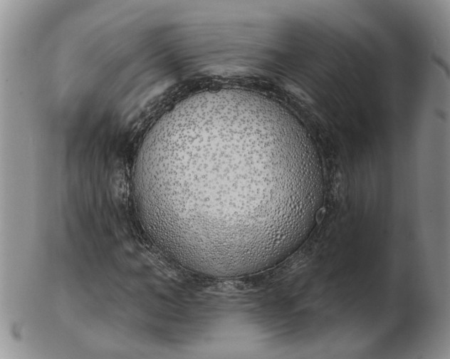 X0000103170966200809051718