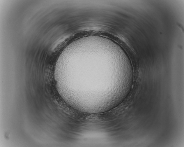 X0000103170967200809051718