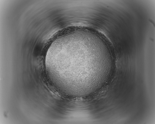 X0000103170968200809051718