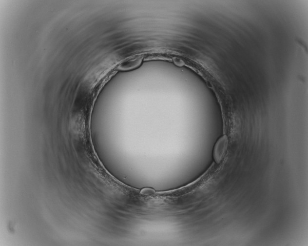 X0000103170969200809051718