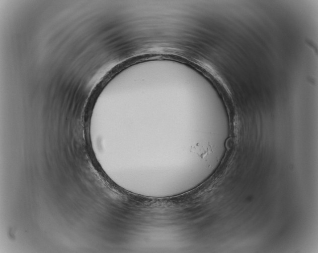 X0000103170972200809051718