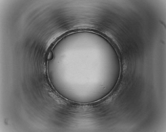 X0000103170973200809051718