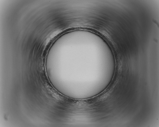 X0000103170974200809051718