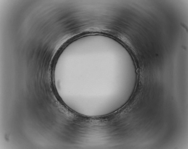 X0000103170976200809051718