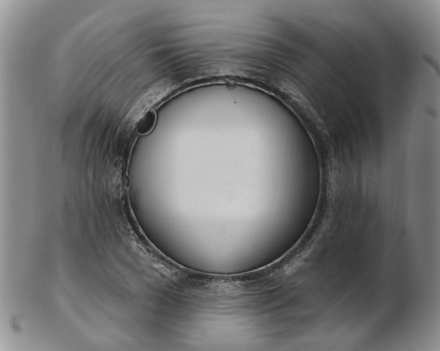 X0000103170977200809051718