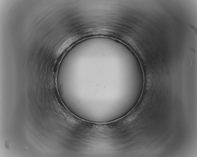 X0000103170978200809051718