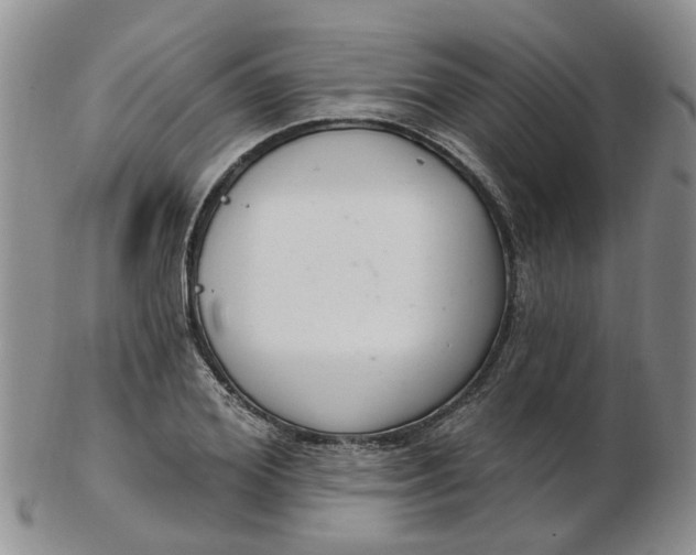 X0000103170980200809051718