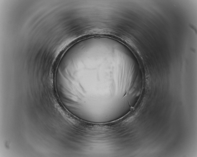 X0000103170981200809051718