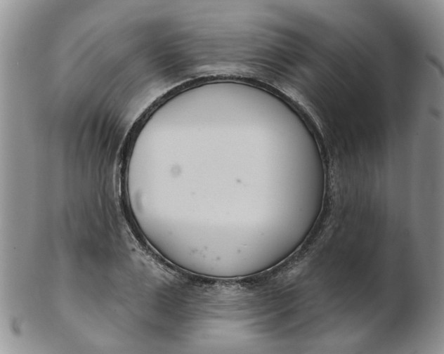 X0000103170983200809051718