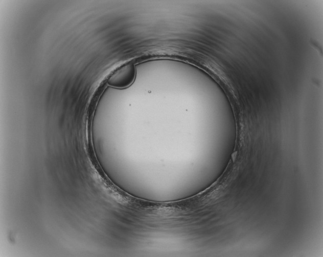 X0000103170984200809051718