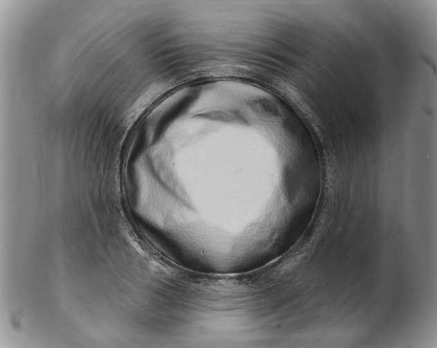 X0000103170986200809051718