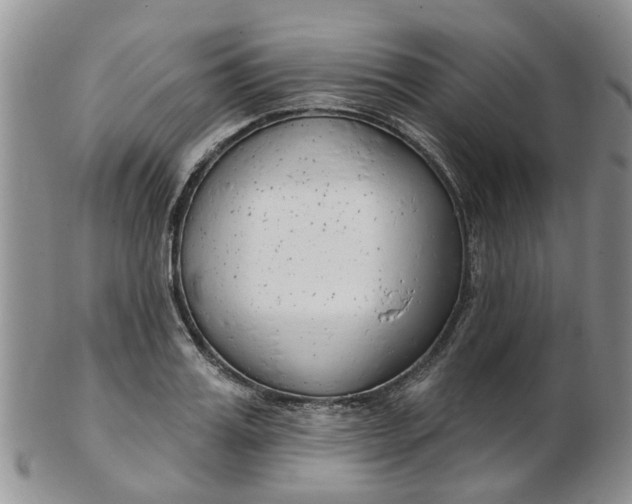 X0000103170987200809051718