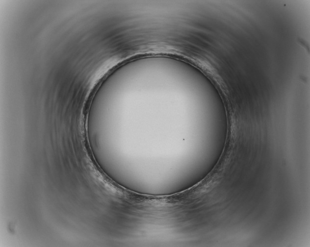 X0000103170990200809051718