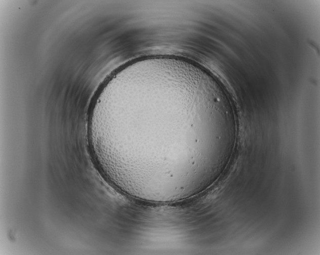 X0000103170992200809051718