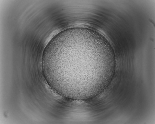 X0000103170994200809051718