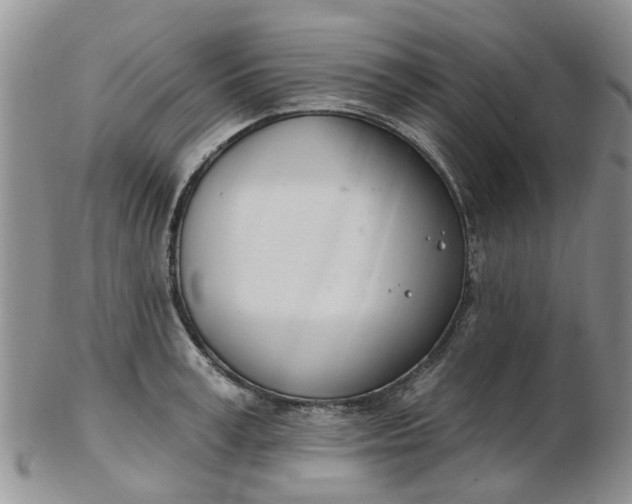 X0000103170995200809051718