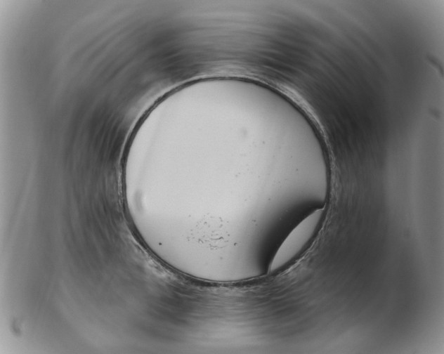 X0000103170996200809051718