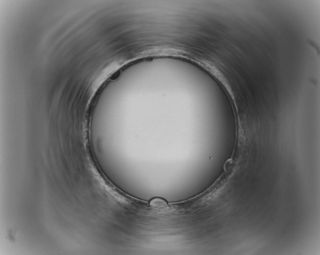 X0000103170997200809051718