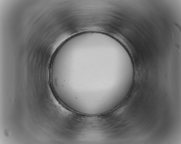 X0000103170999200809051718