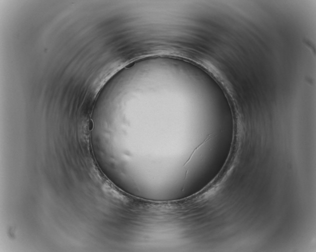 X0000103171001200809051718