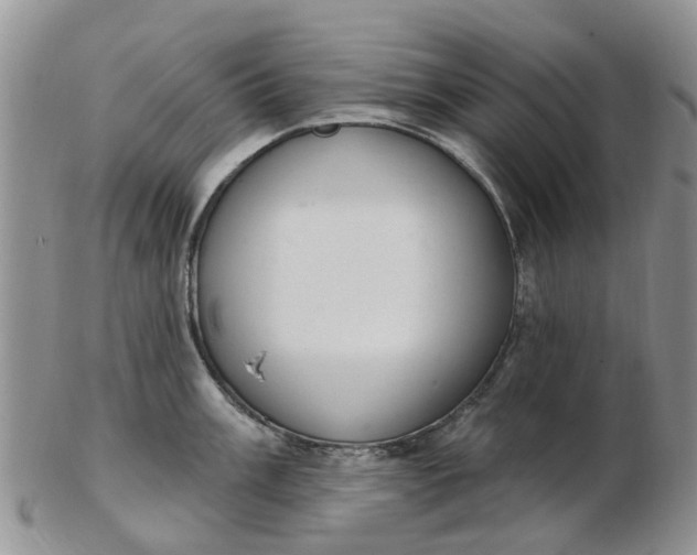 X0000103171003200809051717