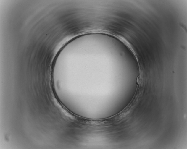 X0000103171005200809051717