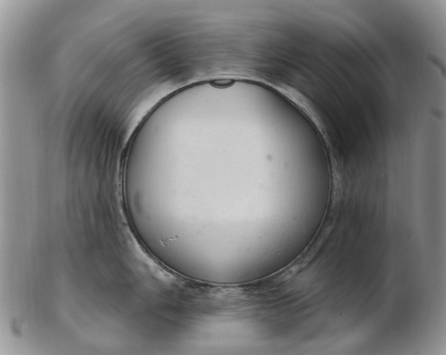 X0000103171006200809051717