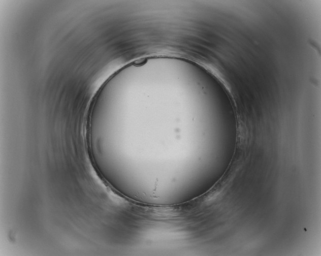 X0000103171007200809051717