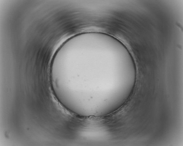 X0000103171008200809051717