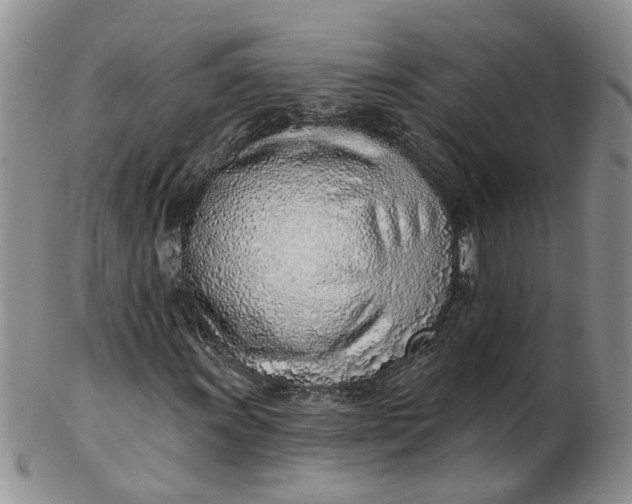 X0000103171011200809051717