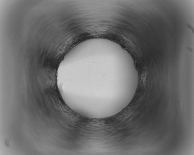 X0000103171012200809051717