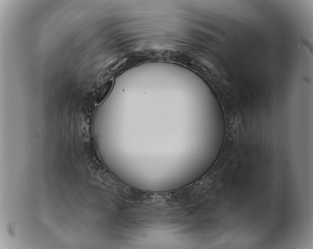 X0000103171013200809051717