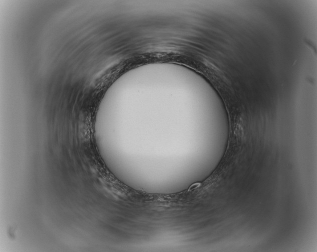 X0000103171014200809051717