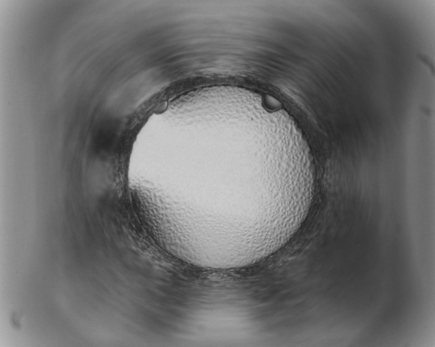 X0000103171015200809051717