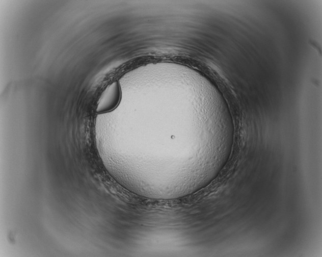 X0000103171016200809051717