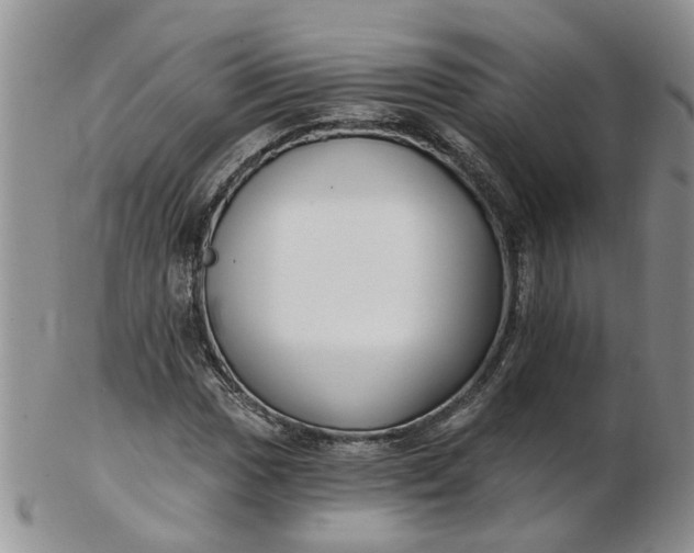 X0000103171017200809051717