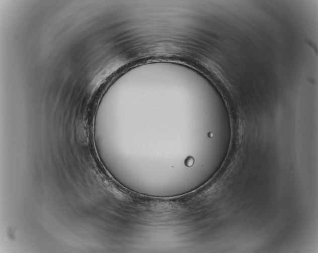 X0000103171018200809051717