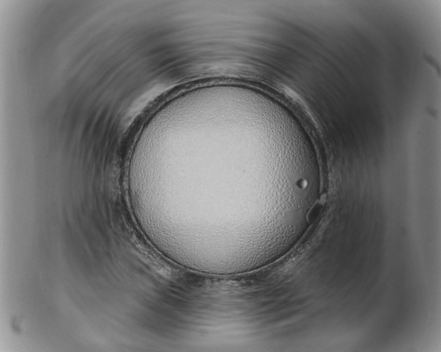 X0000103171019200809051717