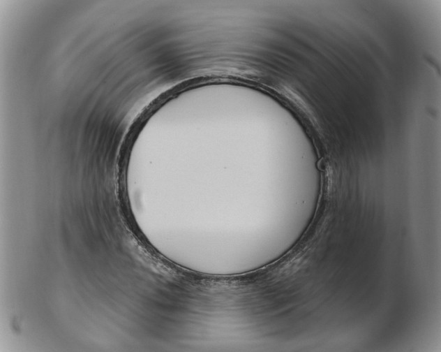 X0000103171020200809051717