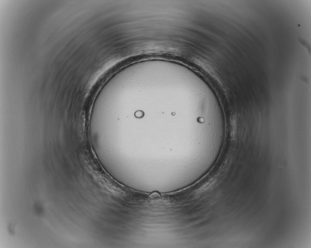 X0000103171021200809051717