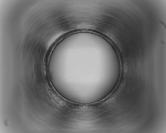 X0000103171022200809051717