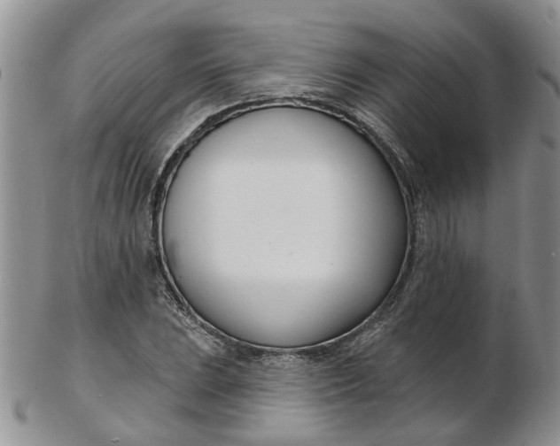 X0000103171023200809051717