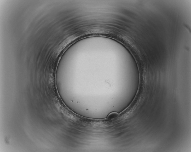 X0000103171025200809051717