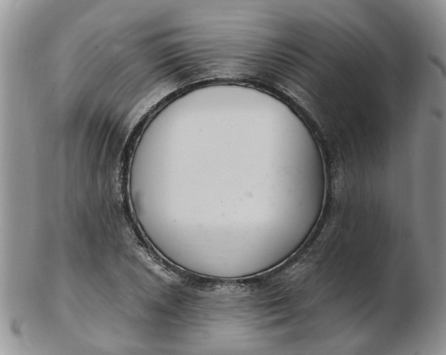 X0000103171026200809051717