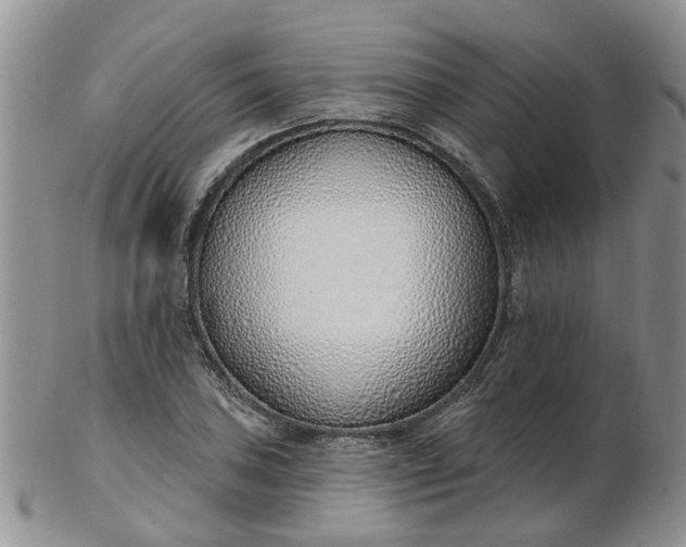 X0000103171027200809051717