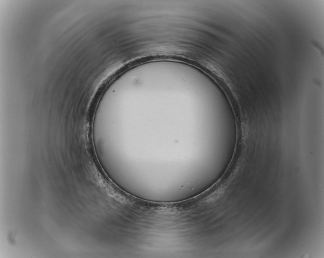 X0000103171029200809051717